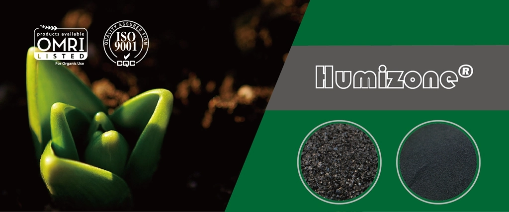 Organic Farming Humus Humate Potassium Fertilizer